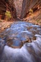 narrows, zion, river, color, autumn, trees